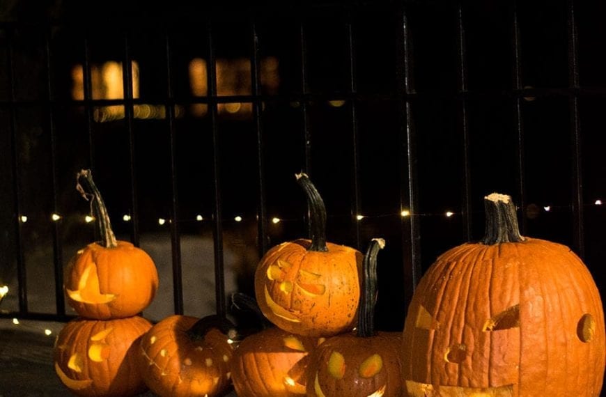 Pumpkins lit the way at the Night Hike.