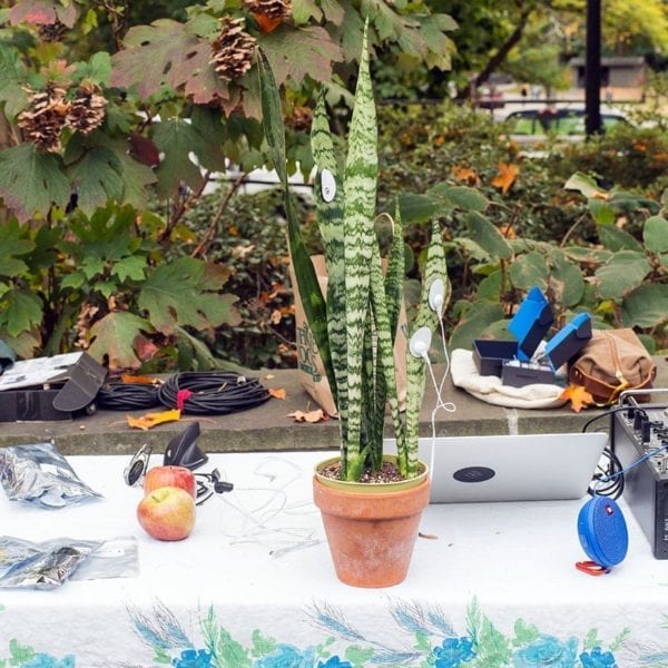 Plants are hooked up to sensors to translate complex real-time data into musical notes and controls