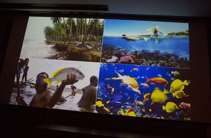 Visual aids about marine biology