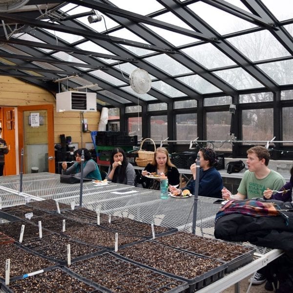 Eating dinner in the greenhouse