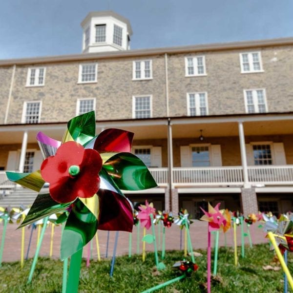 Spring Has Finally Sprung