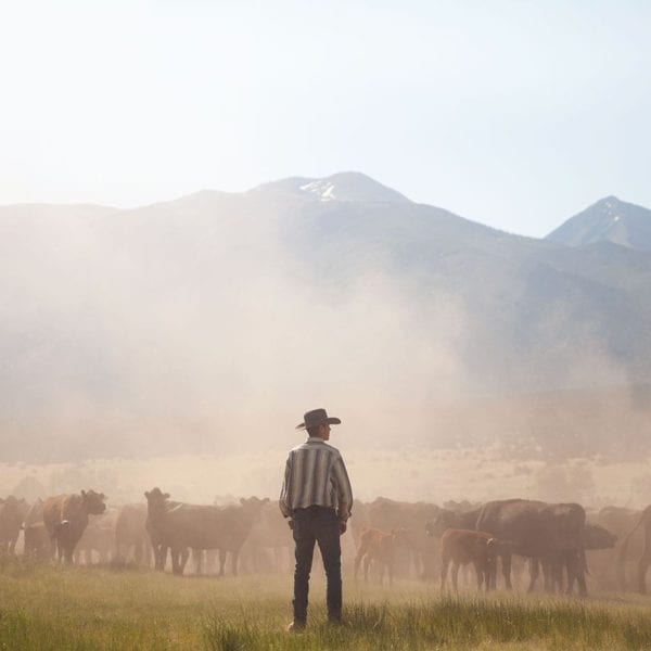 Where They’re Headed: Brandon Sickel ’18