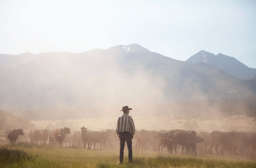 Where They’re Headed: Brandon Sickel ’18