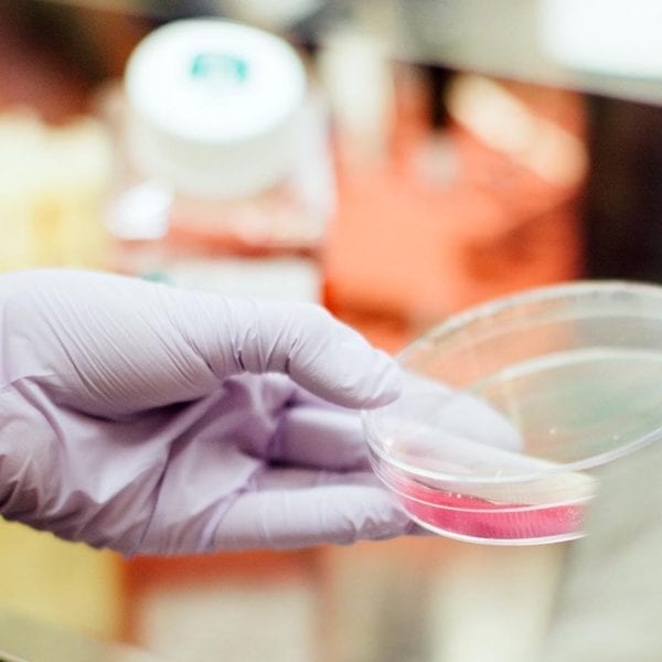 What They Learned: Marco Rivas ’18