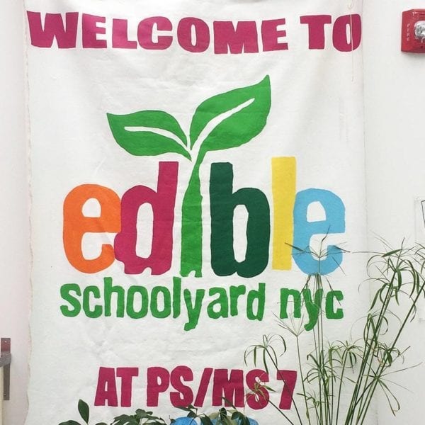 What They Learned: Amanda Friedman ’18