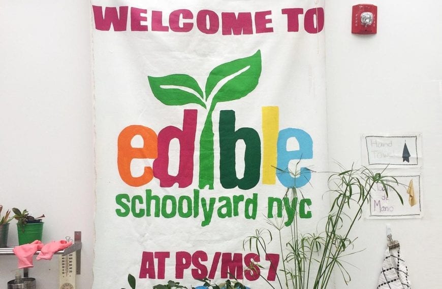 What They Learned: Amanda Friedman ’18