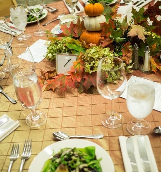 Celebrating the Arboretum