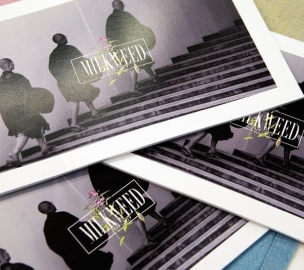 “The Haverford Review” Blossoms into “Milkweed”