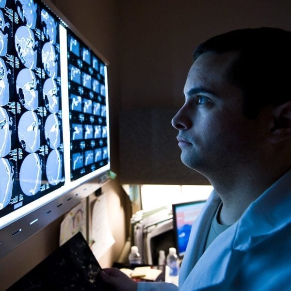 COOL CLASSES: “Neuroscience and Society”