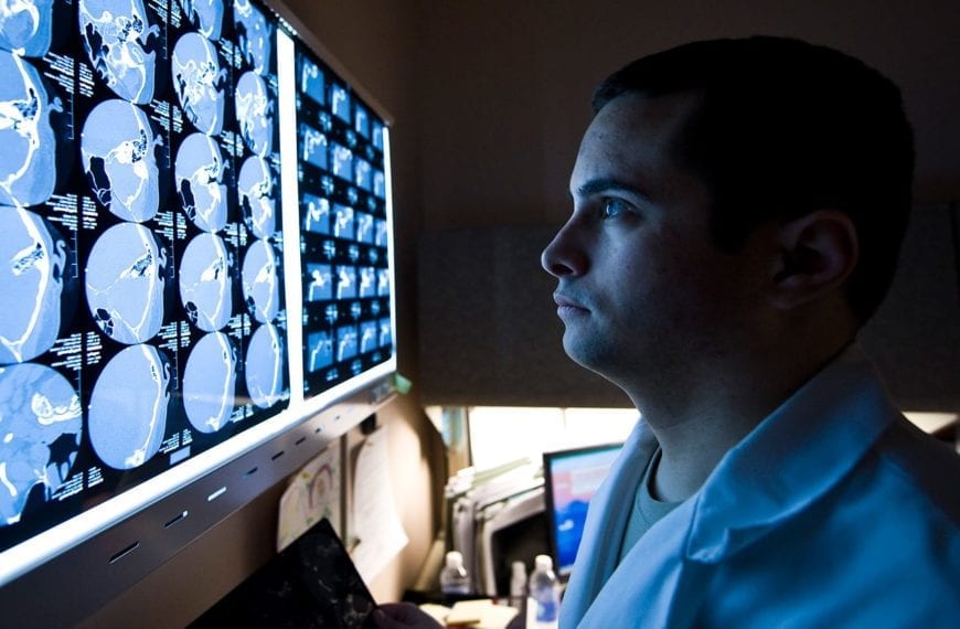 COOL CLASSES: “Neuroscience and Society”