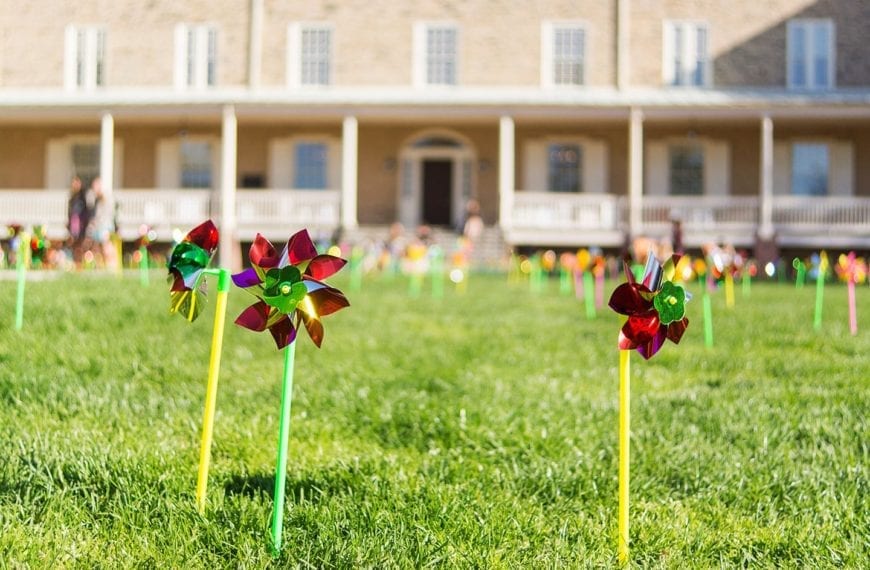 Pinwheel Day 2019 is Finally Here