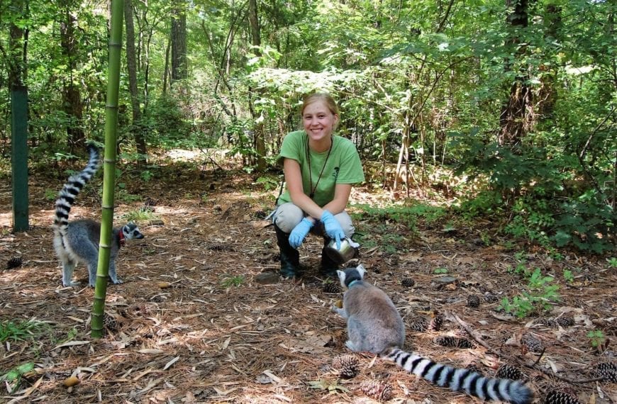 Where They’re Headed: Claire Burdick ’19