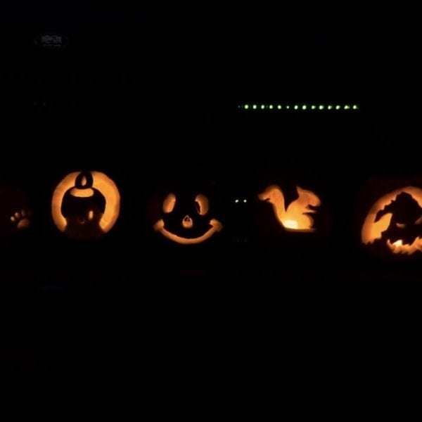 Jack-o-lanterns lit up in the dark