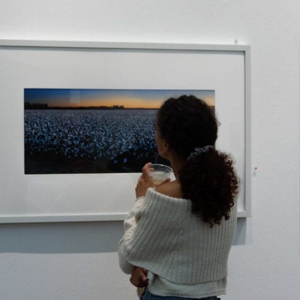 Student looking at a color photograph