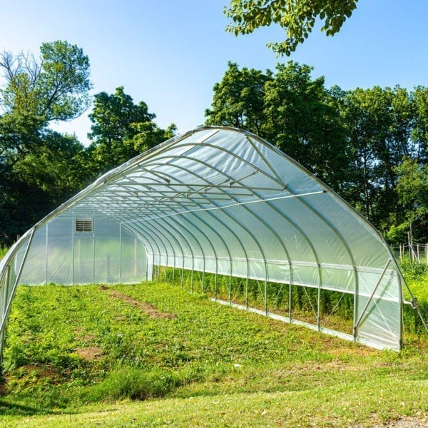 The Haverfarm high tunnel, a plastic-covered, greenhouse-like structure, with a ladder under it as it is being constructed.