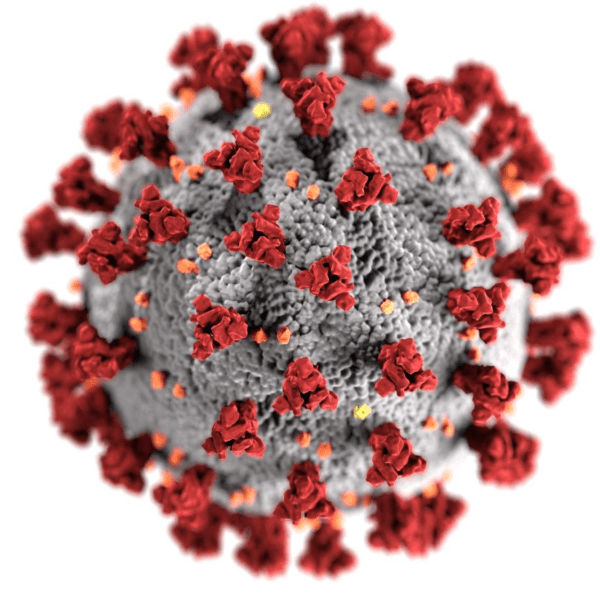 Close-up of Covid-19 virus