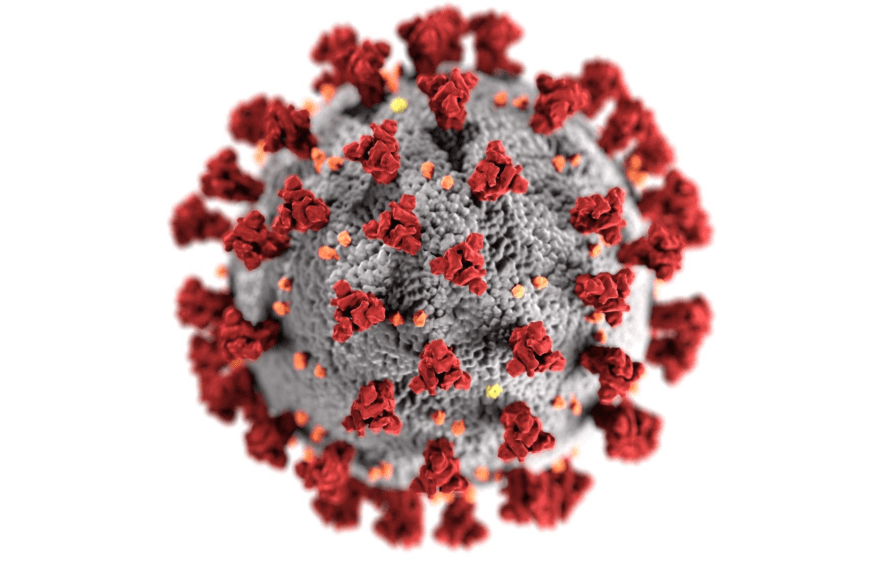 Close-up of Covid-19 virus