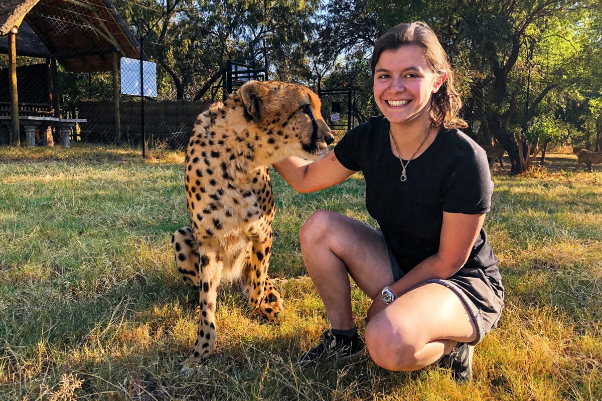 Marisa in a black t-shirt and shorts crouching next to a cheetah.