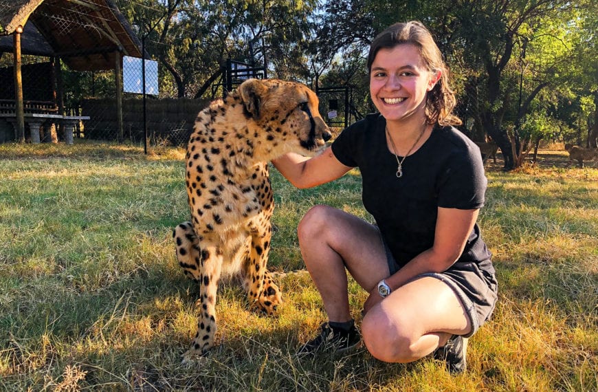 Marisa in a black t-shirt and shorts crouching next to a cheetah.