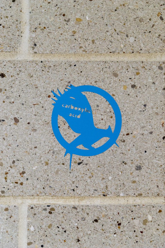 A wall sticker featuring the blue mockingjay symbol with the words "carboxyl acid" written on it.