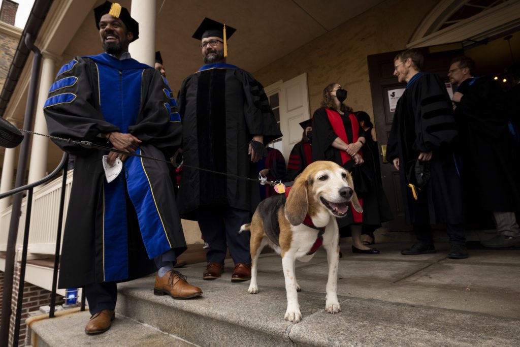 Peanut, a tiny beagle mix greets Class of 2022 members on Founders Porch