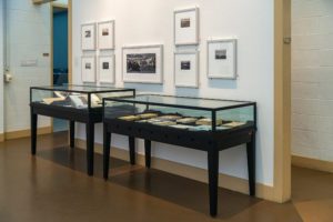 Photo of display case of David Freese's wall and photography books. Photo by Patrick Montero.