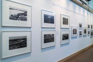 Photo of the main wall displaying David Freese's photographs. Photo by Patrick Montero.
