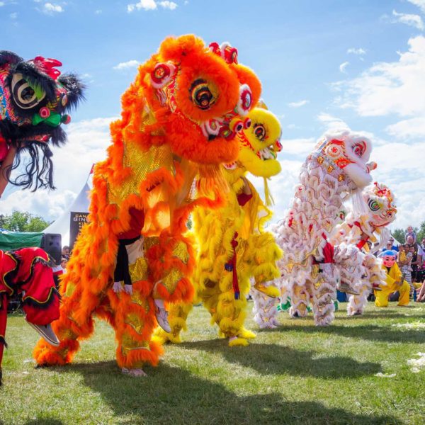 COOL CLASSES: “Musical Cultures of the World: An Ethnomusicological Journey”