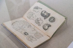 Materials from the Special Collections in the Biopower exhibit.