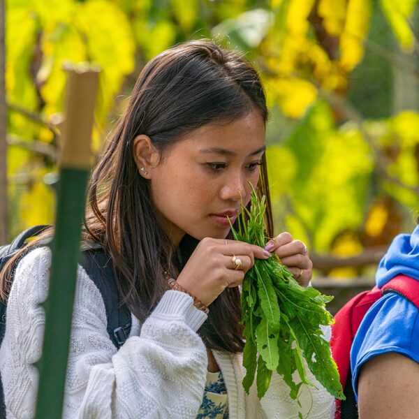 COOL CLASSES: “Advanced Chinese: Food and Food Production”