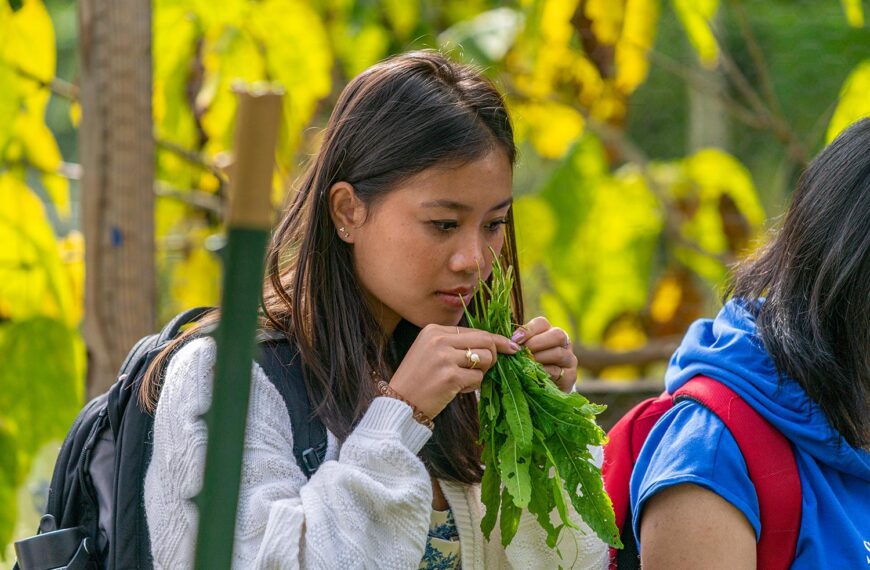 COOL CLASSES: “Advanced Chinese: Food and Food Production”