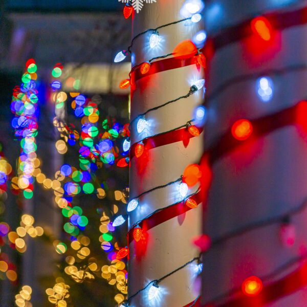 Friends Get Festive at Lloyd Hall