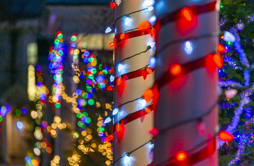 Friends Get Festive at Lloyd Hall