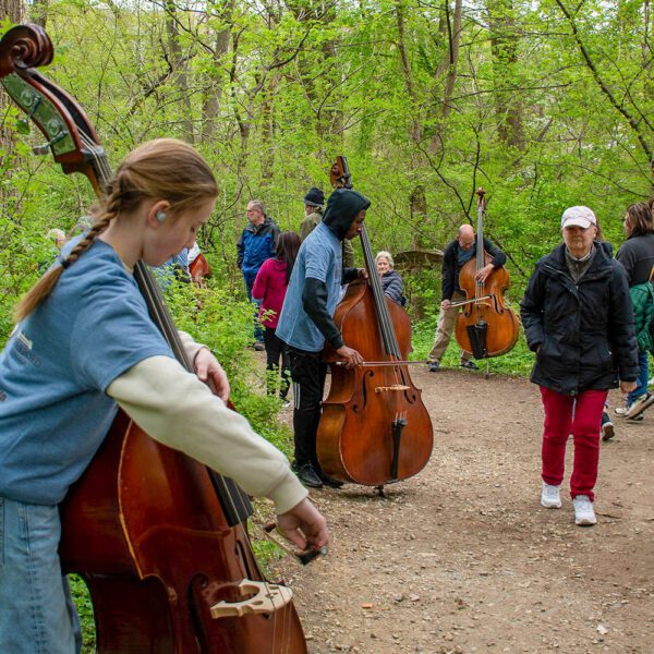In Concert with Nature
