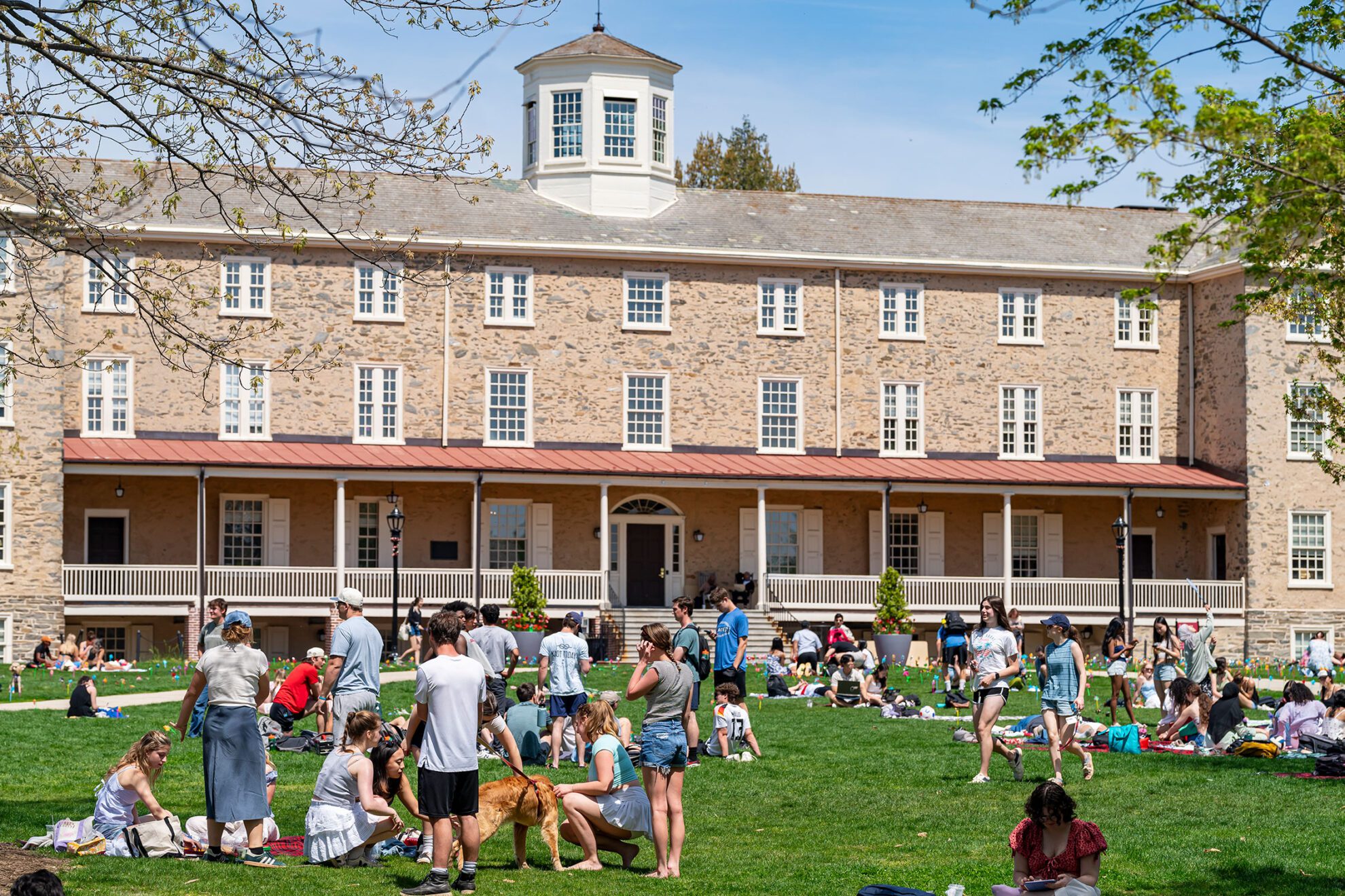 A Whirlwind of Joy: Scenes from Pinwheel Day 2025 | Haverblog