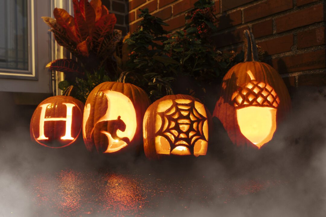 Four carved pumpkins glow on a doorstep at night. Each features a different design: a block “H,” a squirrel silhouette, a spiderweb, and an acorn. Autumn plants and brickwork frame the festive display.