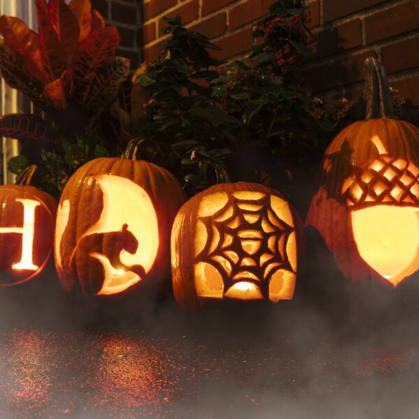 Four carved pumpkins glow on a doorstep at night. Each features a different design: a block “H,” a squirrel silhouette, a spiderweb, and an acorn. Autumn plants and brickwork frame the festive display.