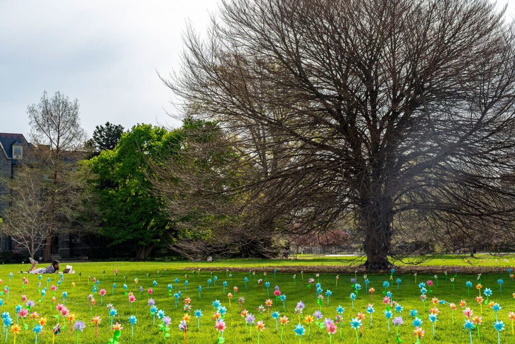 Hundreds of colorful pinwheels fill the grass beneath large trees on campus, creating a bright spring display.