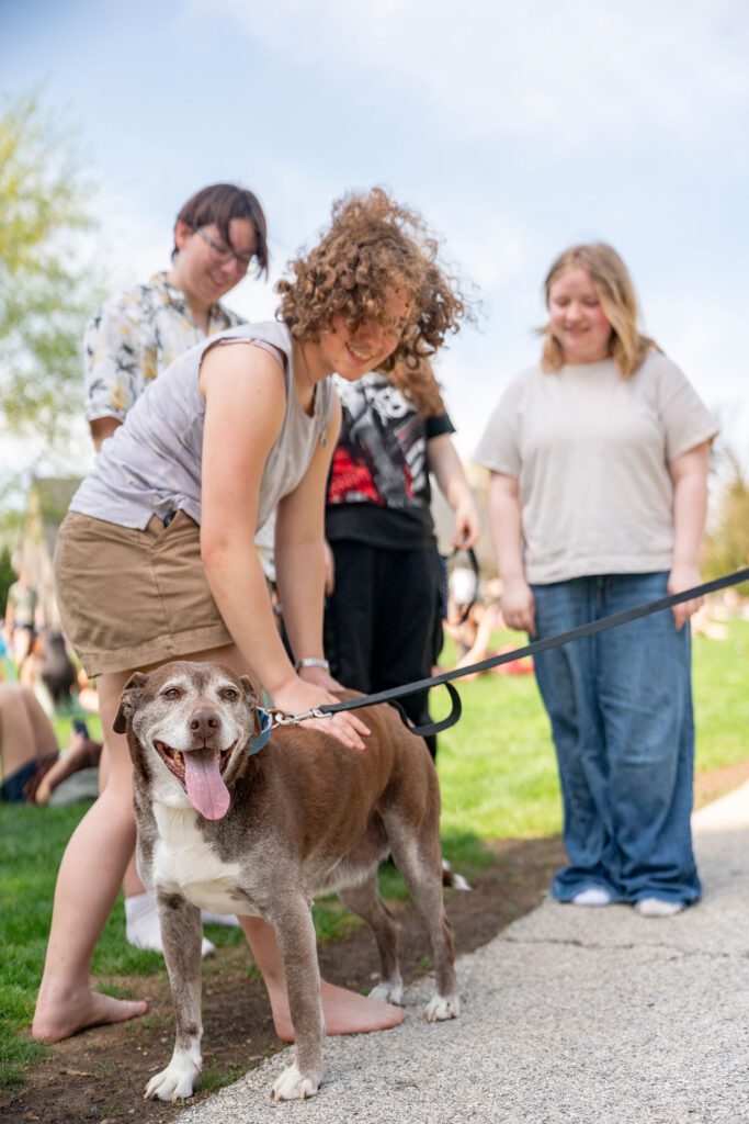 A student bends down to pet a brown-and-white dog on a leash while three other students smile nearby on the edge of the lawn.