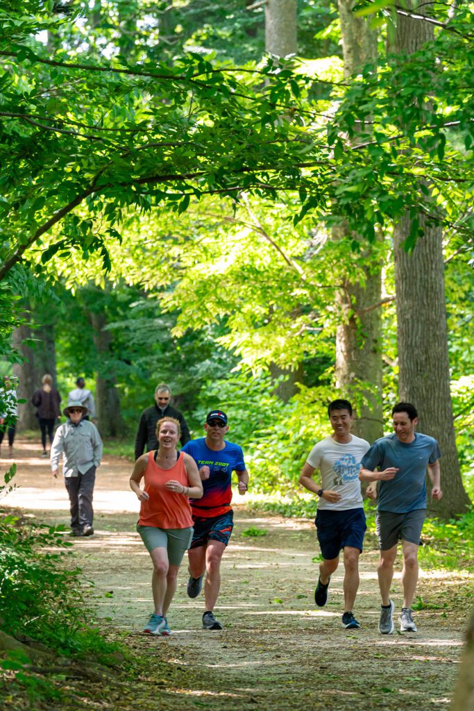 Four runners move down a shaded wooded path while other walkers follow behind among tall trees.